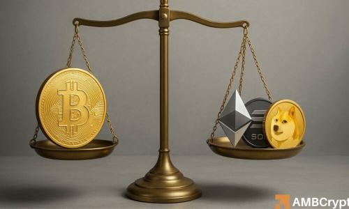 山寨币季节临近？链上数据释放积极信号