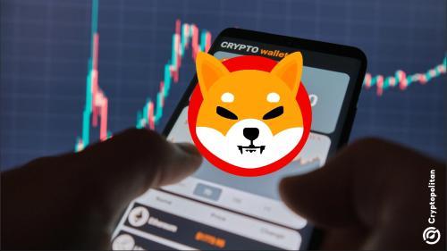 Shiba Inu推抗量子身份系统应对未来安全挑战