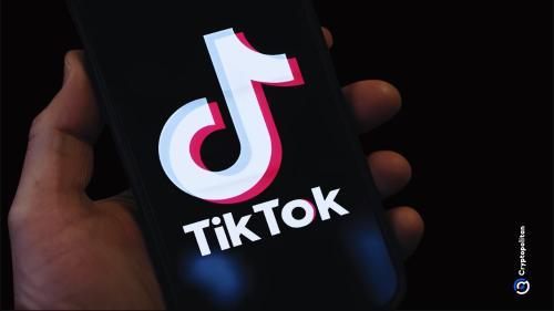 TikTok请求与加拿大部长面谈应对停运命令