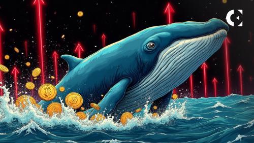 比特币跌破11.7万美元 大量闲置币转移引发市场震荡