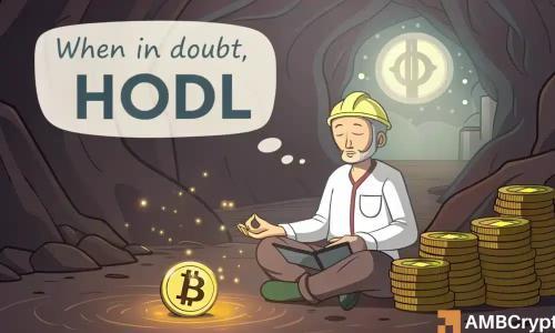 比特币冲破12.3万美元后回调，长期持有者信心不减