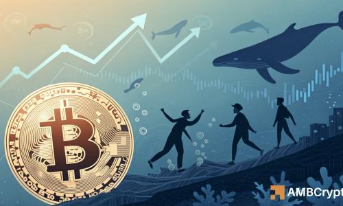 比特币链上信号看涨：鲸鱼撤退+稳定币流入，目标13.6万美元