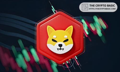 Z世代与千禧一代配置5%退休资产或推升SHIB至新高