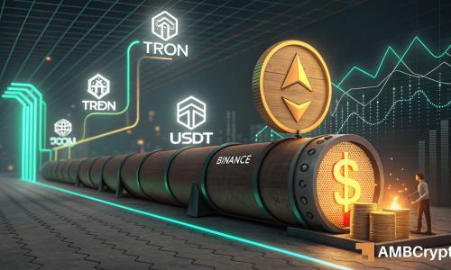 TRON稳定币突破800亿美元，TRX资金流入激增预示看涨信号