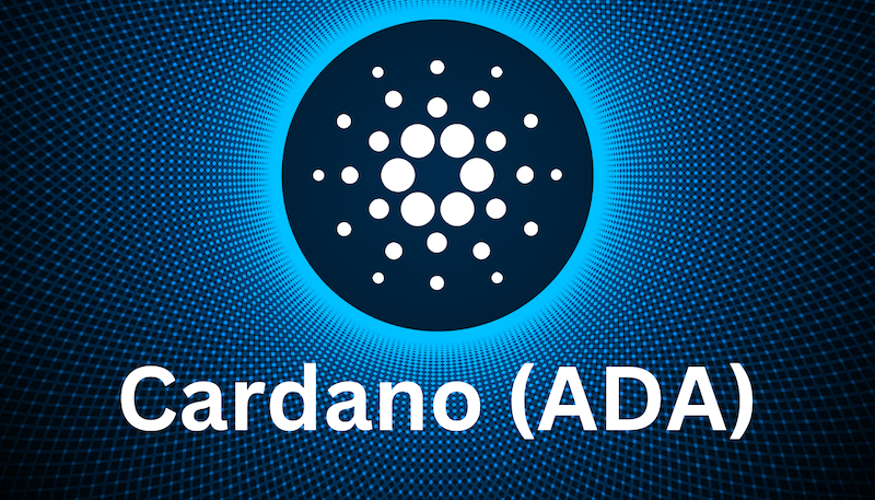 新手如何判断虚拟币投资价值？4大核心维度解析