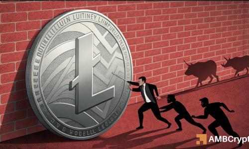 莱特币逼近110美元阻力位，鲸鱼增持与融资利率创新高