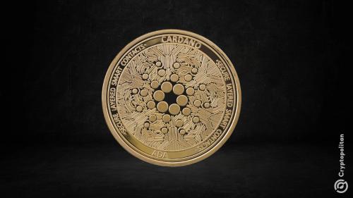 Cardano联合创始人霍斯金森将公布ADA资产审计报告