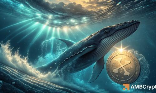 XRP冲高遇阻：鲸鱼转移引争议，技术超买与基本面疲软隐忧