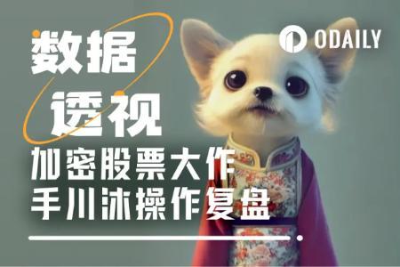 川沐加密概念股操作复盘：SBET、CRCL、国泰君安三案获利超百万美元