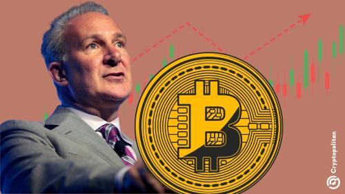 彼得·希夫力推比特币抛售以太坊 市场分歧凸显