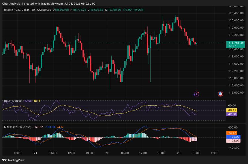  7月24日比特币（BTC）价格预测 