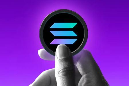 SOL代币分布深度解析：机构持仓超20%，质押率高达71%