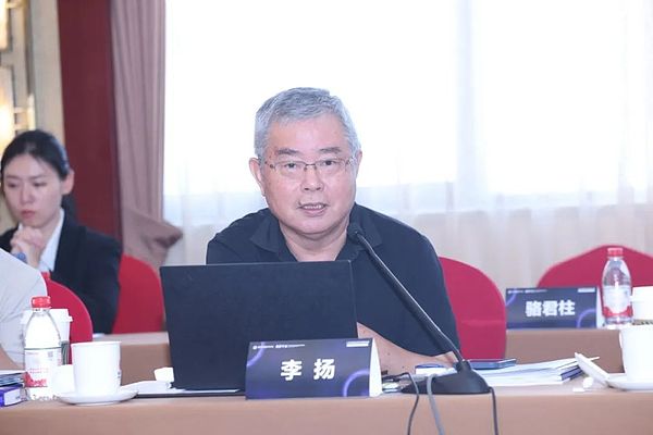 国家金融与发展实验室理事长李扬：“稳定币”五议