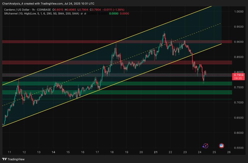 卡尔达诺（ADA）7月25日价格预测 