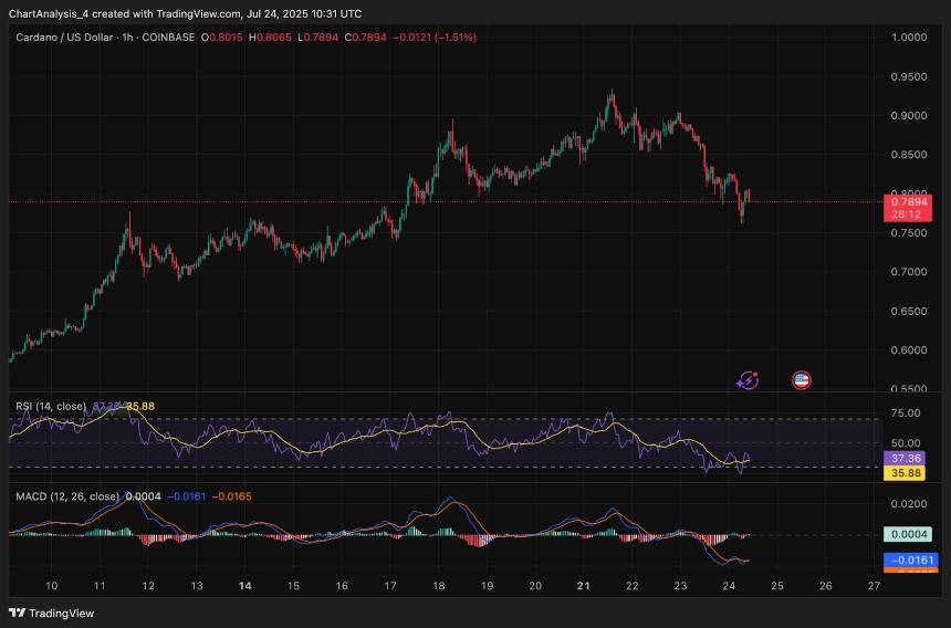  卡尔达诺（ADA）7月25日价格预测 