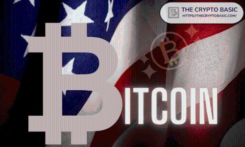 美国政府比特币储备超19.8万枚 市场波动背后真相揭晓