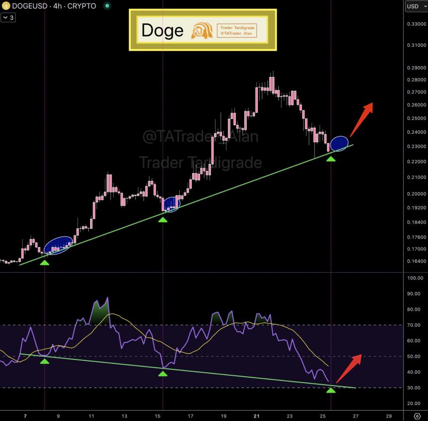 技术指标显示狗狗币有望反弹，有望突破