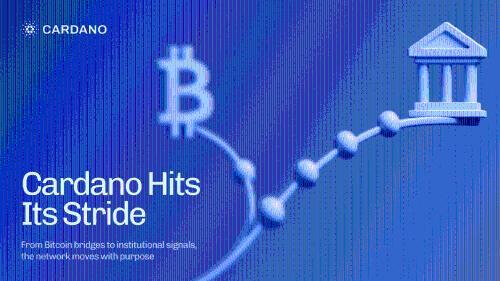 Cardano生态加速落地：比特币集成与机构关注双轮驱动