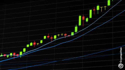马斯克宣布Vine以AI形式回归，VINE代币暴涨62%