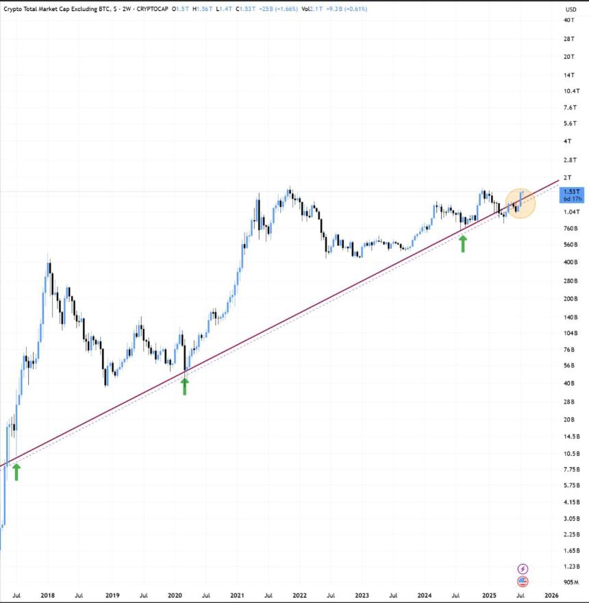 Altcoin Market Cap Niels