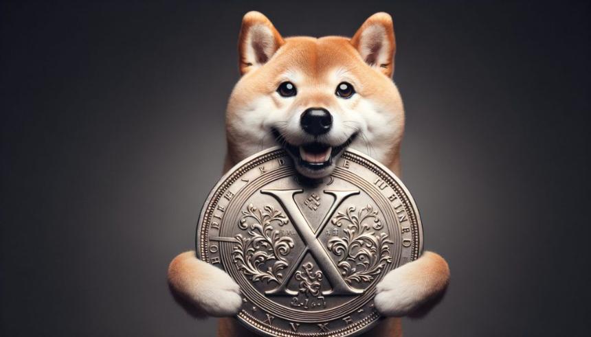 Shiba Inu XRP