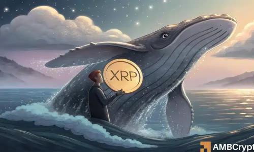 XRP供应回归预警：3美元支撑位能否守住？