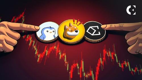 BONK/PENGU/ENA测试关键支撑位，山寨币回调压力加剧