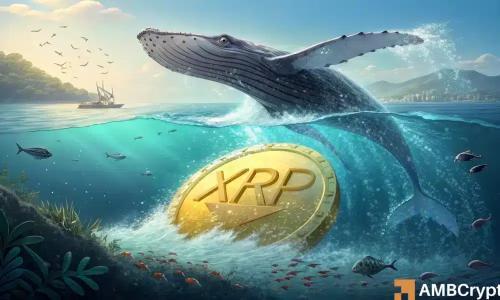 XRP跌破3美元大关 动能减弱引发进一步下行担忧