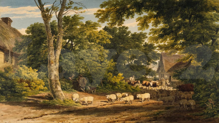 以太坊十周年：7大维度揭秘ETH涨势为何才刚开始？