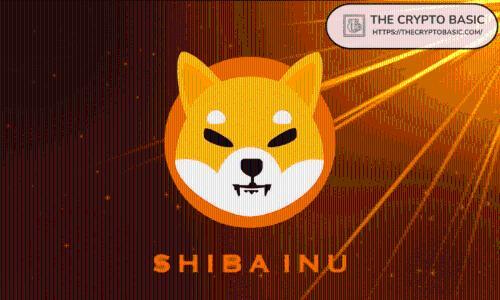 Shiba Inu团队回应生态争议：强调团结与DAO治理改革