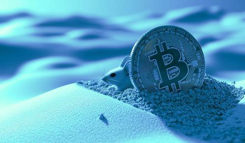 PlanB预测比特币将突破30万美元：基于库存流量模型的牛市展望