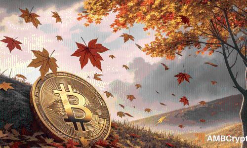 比特币第四季度看涨信号频现，链上数据释放积极信号