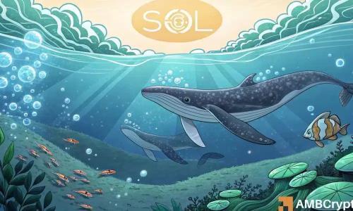 SOL价格飙升5%突破172美元阻力位挑战200美元目标