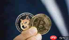 狗狗币是否值得投资