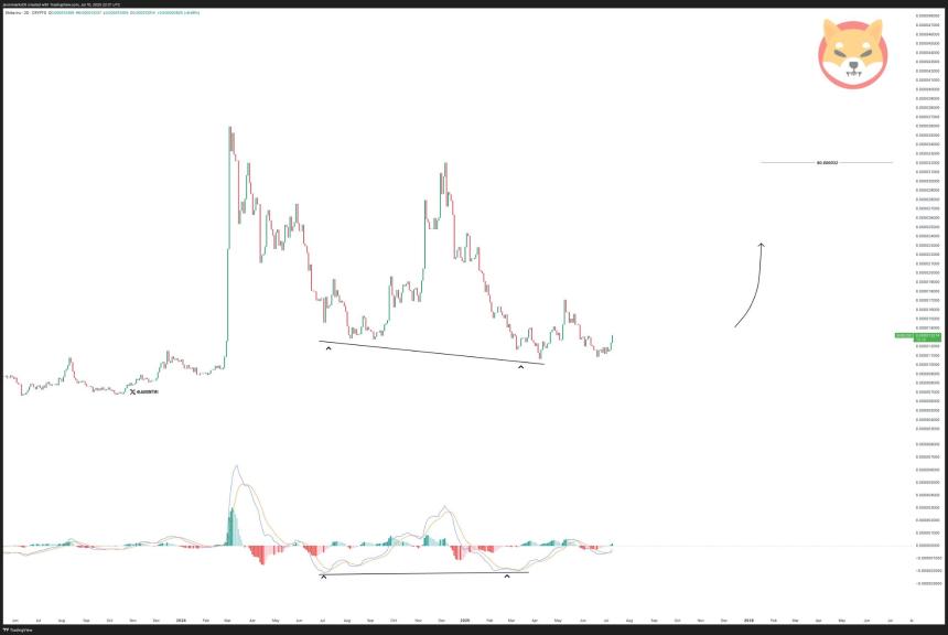 Previous Shiba Inu chart