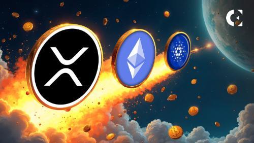 山寨币市值破1.5万亿，比特币波动后市场转向“山寨币季”