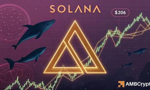 SOL突破206美元在望？鲸鱼与散户同步买入推动看涨动能