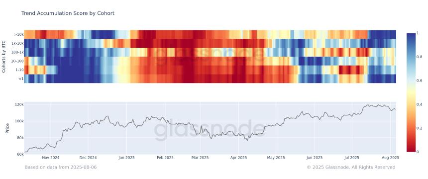 Bitcoin Trend Accumulation Chart by Cohort Glassnode