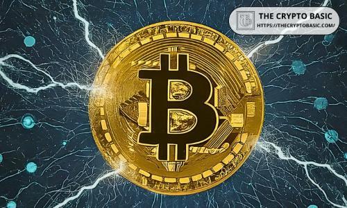 Block Inc. CFO：比特币或成驱动互联网的开放协议