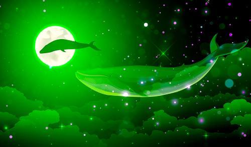 巨鲸囤积以太坊推涨价格，市场趋势或迎新高