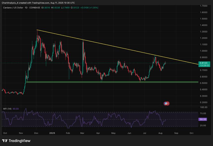  卡尔达诺（ADA）8月12日价格预测 