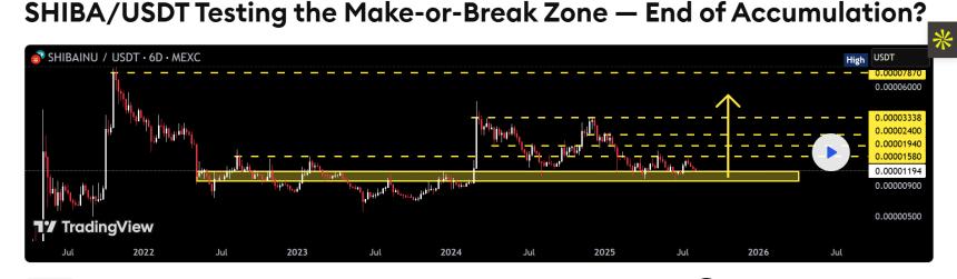 shiba Inu testing make or break zone