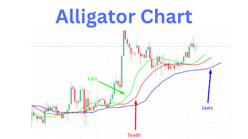 比特币交易术语全解析：新手必懂的币圈语言指南