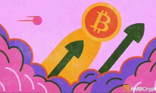 长期持有者抛售放缓 比特币波动趋稳逼近历史高点