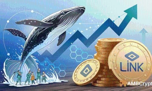 Chainlink鲸鱼增持1300万美元，机构布局加速推动价格突破24美元