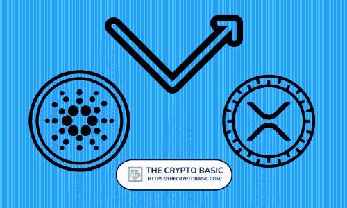 XRP与CardanoETF获批在即？2025年末市场趋势前瞻