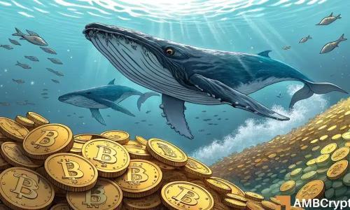 比特币积累创历史新高 鲸鱼增持支撑价格上行
