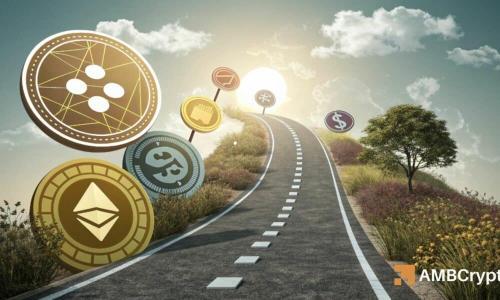 2025年会是Altseason全面爆发的起点吗？山寨币搜索量创五年新高