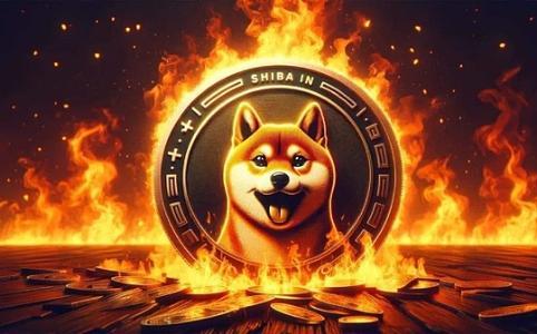 狗狗币暴涨！巨鲸增持5亿美金，黄金交叉逼近0.3美元