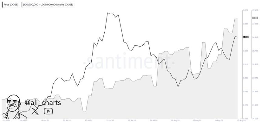 Whale bought 2 billion Doge